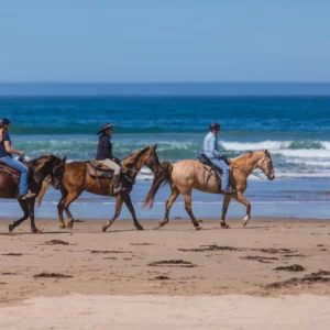 Horseback Riding on Pismo Beach Horseback Riding on Pismo Beach