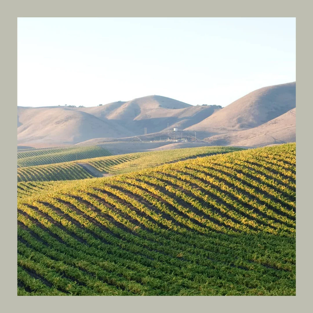 Cambria Estate Winery